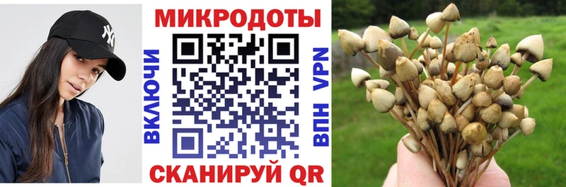 Галлюциногенные грибы мицелий MEGA онион Бугульма
