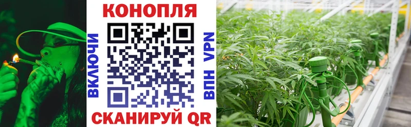 omg зеркало Бугульма Марихуана ГИДРОПОН продажа наркотиков